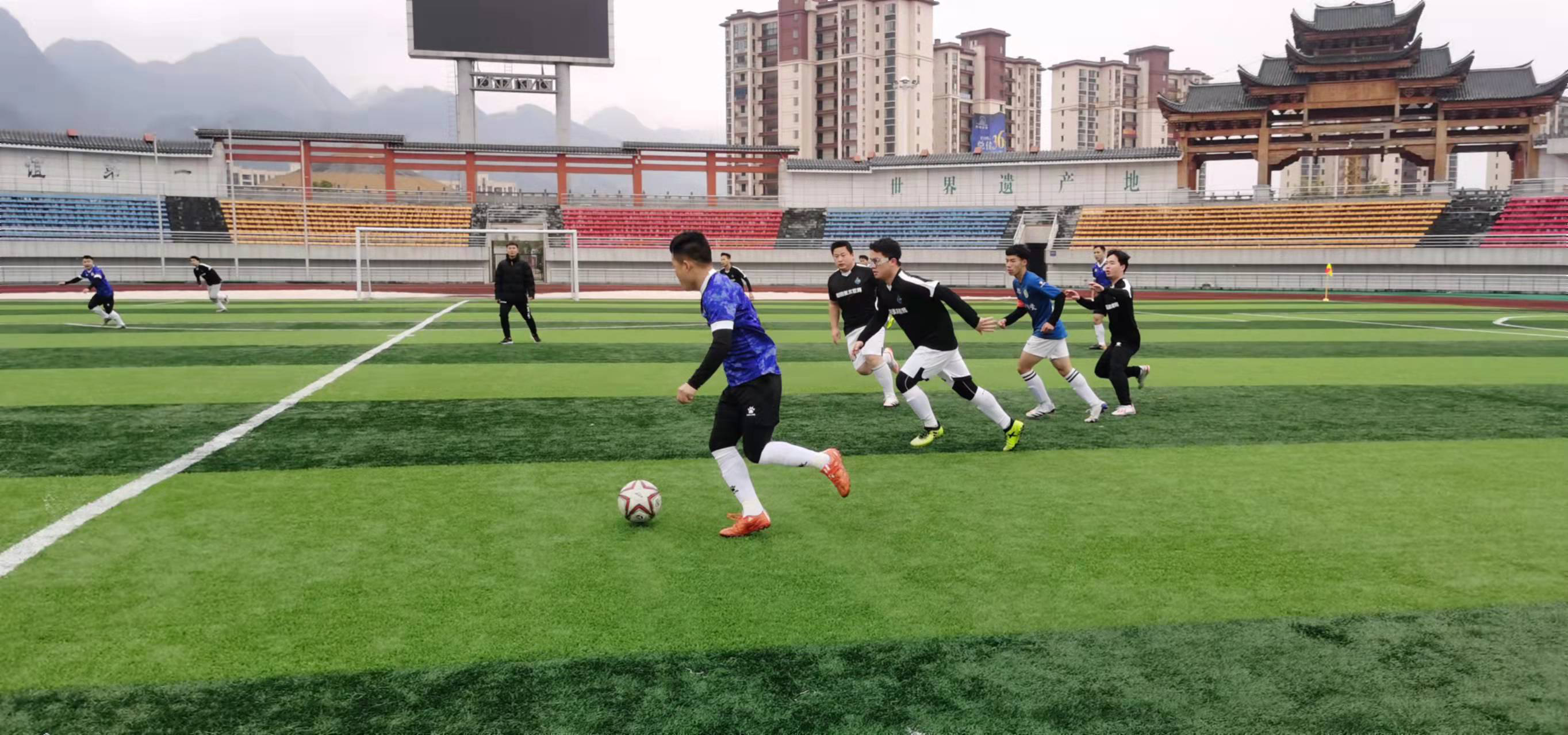 可能的身体 可能的身体