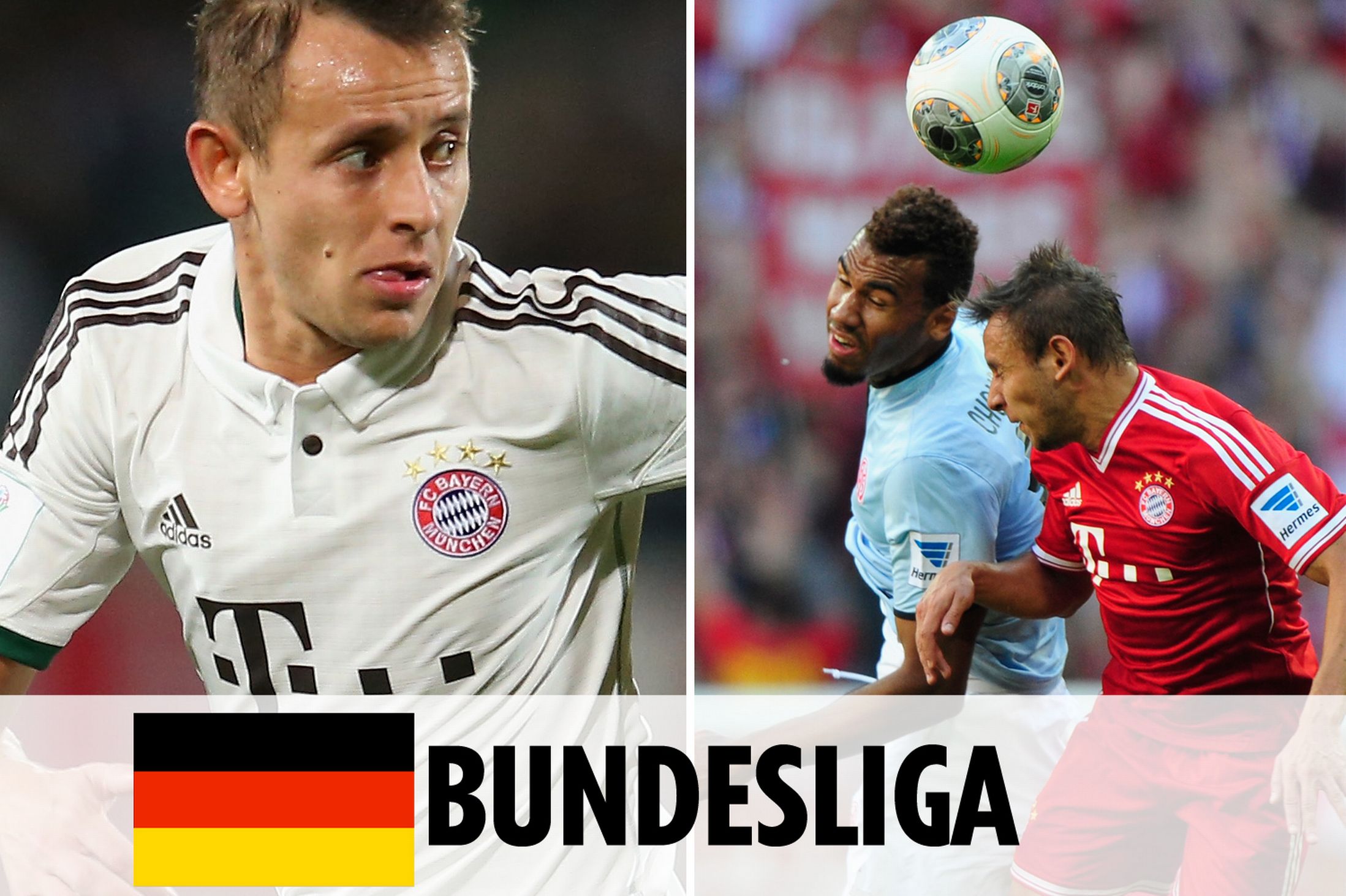 的阵容名单 的阵容名单