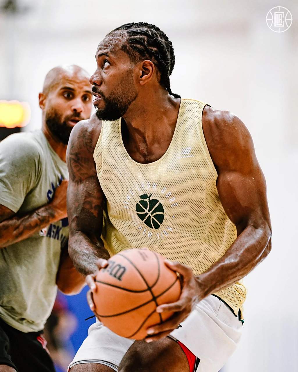 平台合规形 平台合规形